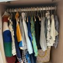 보보쇼즈 BoBo Choses 베이비 리뷰 / 아기옷 입히기 내돈내산 / 아기 스타일링