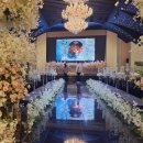 상무대로1-2 | 🕊️ W1; 광주 글로리아 웨딩홀 비스타홀 당일계약 후기, 고민 끝에 홀패키지 계약한 이유 (27년도 상반기)