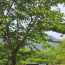 정길농장 이미지