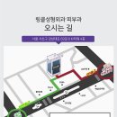 링클성형외과의원