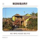 바람아래솔 이미지