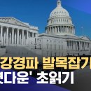 공화 강경파 발목잡기에 미 '셧다운' 초읽기 이미지