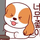 1001안경콘택트배방점 이미지