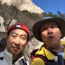 김밥사냥 - 중구 동호로 163 | 왕초보 관악산 등산 및 두쫀쿠 사냥 후기 (오월의김밥, 미엘케이커리, 멜로우스트리트, 봉이전)