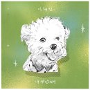 내세상 이미지