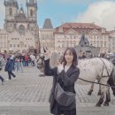 쌀비 이미지