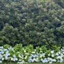 수박샵 | 올레길 6코스 러닝 후기/쇠소깍 소품샵 제주소나이 쇠소깍점 방문 후기/쇠소깍 수박주스 카페 추천 넘버...