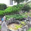 조수리엔 이미지