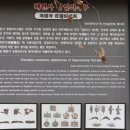 해련사 장엄의식구 네이버블로그