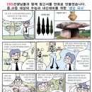 파랑새휘트니스 이미지