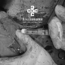 초이스외과동물병원 이미지