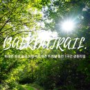 광원리 월둔교 | 홍천 가볼만한곳 비밀 여행지 백두대간트레일 트레킹