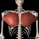 석세스짐 망포역점 이미지