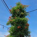 대봉1동 행정복지센터 이미지