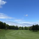 딤플스톤골프 | 25년 5월