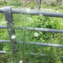 손골공원 이미지