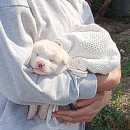 성남대로 997번길 이미지
