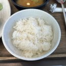 월곡역 맛집 월곡 카츠 전문점 토라카츠