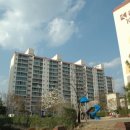 성안부동산중개사무소 이미지