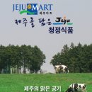 소개 Daum카페