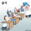 Natizen 시사만평' '2023. 9.2.(토) 이미지