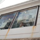 바오하우스 이미지