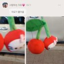 영강사거리 분수공원 | 25년 마무리일기_최최최종~!