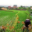 경북민박
