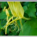 메뚜기민박 이미지