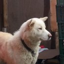 명문농장 이미지