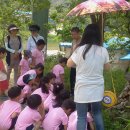 미원초교 병설유치원 이미지