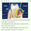 보타닉동물병원 이미지