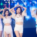 스텔라 이미지