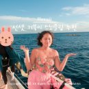 민이푸드 | 하와이 스노쿨링 와이키키 거북이 선셋 투어 포인트 예약 후기