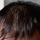 케라틴헤어 이미지