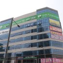 강남셀럽의원 이미지