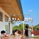 리리포레스트 이미지