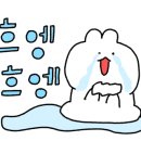 디틀로 이미지