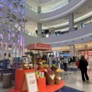 자갈치시장 | [부산여행] 여행3,4일차/ 롯데백화점 선물쇼핑부터 자갈치시장 먹방까지 현실 후기ㅋㅋ