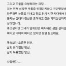 타뮤