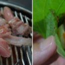 까치네 이미지