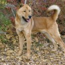 용순농장 이미지