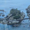 삼척미로정원 | 삼척 솔비치 여행 후기 - 가족과 함께한 힐링 바다 여행