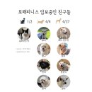 고양이 구조 재개합니다. 이미지