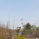 수림조경 이미지