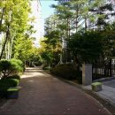 진흥아파트 이미지