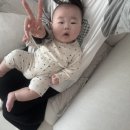 청년피자경주 네이버블로그