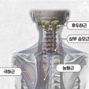 유성PT 용쓰짐 헬스장 이미지