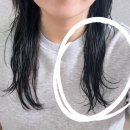트리플헤어 | 헤어 버블에센스로 머릿결 관리｜콘디 원샷 트리플 에센스 사용 후기
