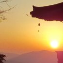 미래행정사무소 이미지